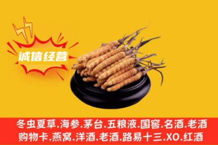 黔西南回收冬虫夏草